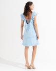 Tierra Mini Dress Frosted